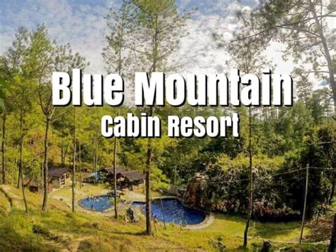 Blue Mountain Cabin Resort .